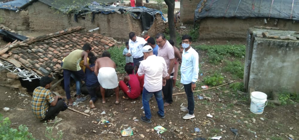 दो दिनों से अमिलिया बंसल बस्ती में दर्जन भर एक एक कर पालतू सुअरों की अचानक मृत्यु हुई