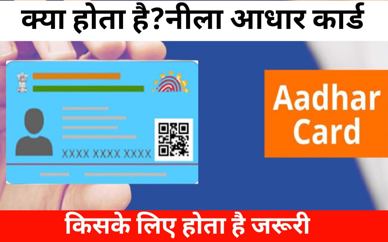 क्या होता है ' नीला ' आधार कार्ड, इनके लिए होता है जरूरी, जाने आवेदन करने का ये तरीका