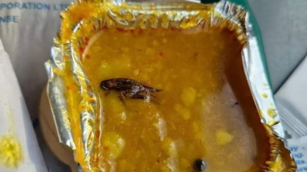 Cockroaches in Vande Bharat Food