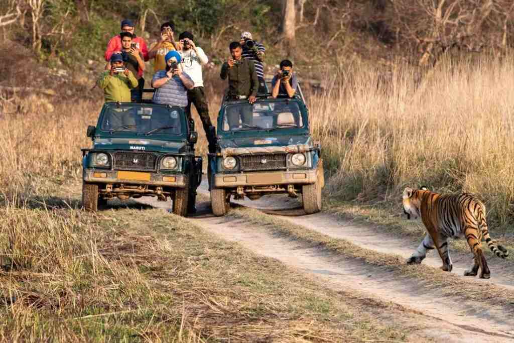 राजस्थान के रणथम्भौर राष्ट्रीय उद्यान में सफारी करना हुआ मंहगा