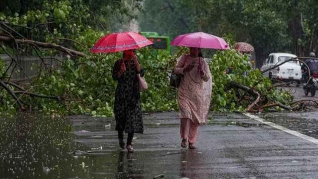 IMD Update : मध्य प्रदेश के इन जिलों में गरज-चमक के साथ होगी भारी बारिश, अलर्ट जारी