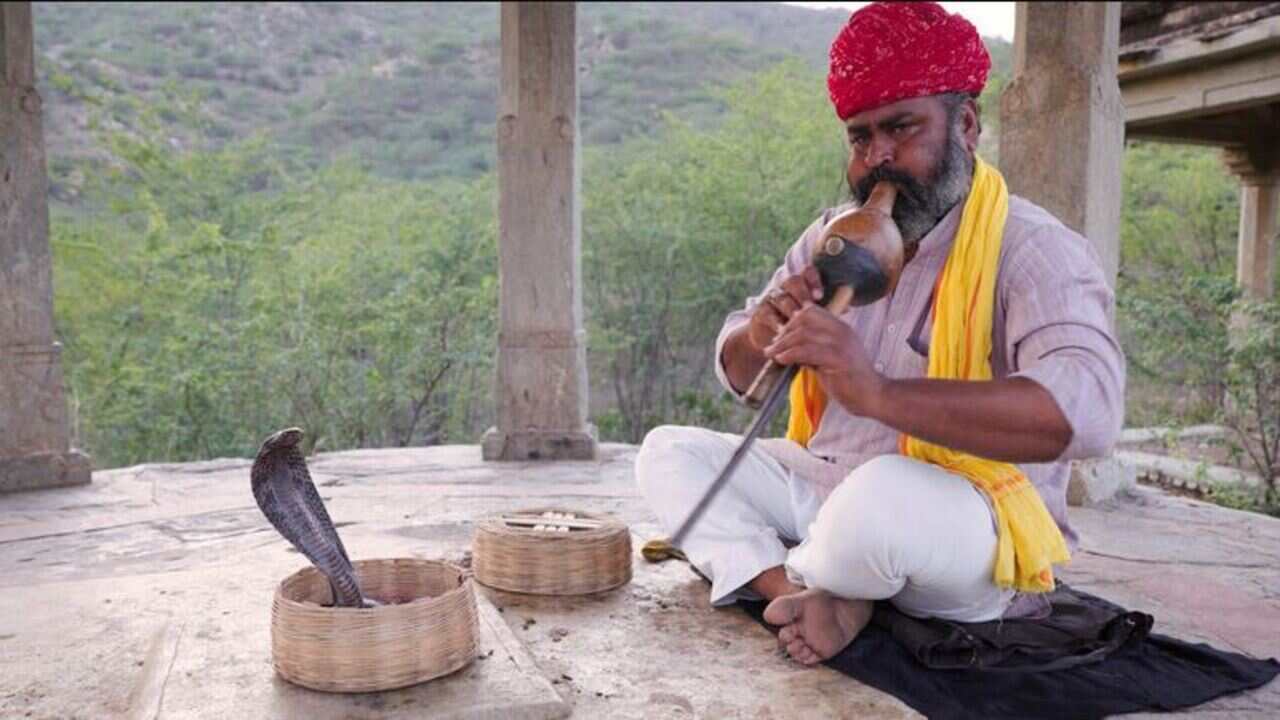 सावन में सपेरों को प्रदर्शन करना पड़ेगा भारी, गश्त करेगी उड़न दस्ता टीम