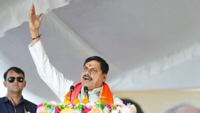 'विकास के किसी भी पहलू में चंबल का कोई भी क्षेत्र पीछे नहीं रहेगा', बोले सीएम मोहन यादव