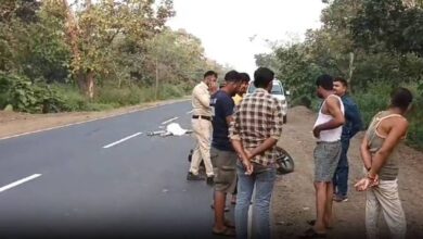 अज्ञात वाहन ने बाइक सवार को कुचला, मौके पर हुई दर्दनाक मौत