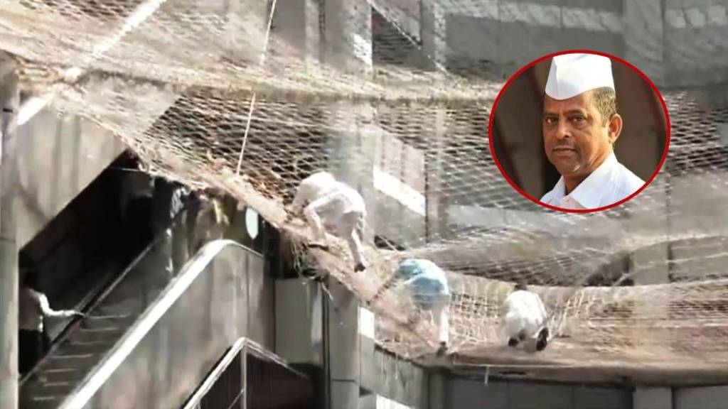 महाराष्ट्र में डिप्टी स्पीकर नरहरि झिरवाल ने मंत्रालय की तीसरी मंजिल से कूदे, मचा हड़कंप, देखे विडियो