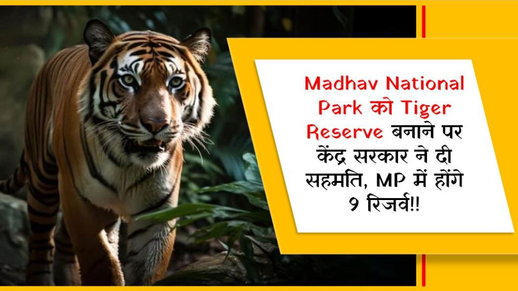 Madhav National Park को Tiger Reserve बनाने पर केंद्र सरकार ने दी सहमति, MP में होंगे 9 रिजर्व!