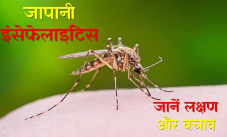 ग्वालियर में मिला जापानी इंसेफेलाइटिस का पहला मामला, 15 साल की लड़की में वायरस की पुष्टि, जानें लक्षण और बचाव