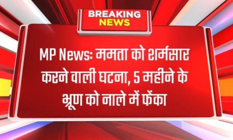 MP News: ममता को शर्मसार करने वाली घटना, 5 महीने के भ्रूण को नाले में फेंका