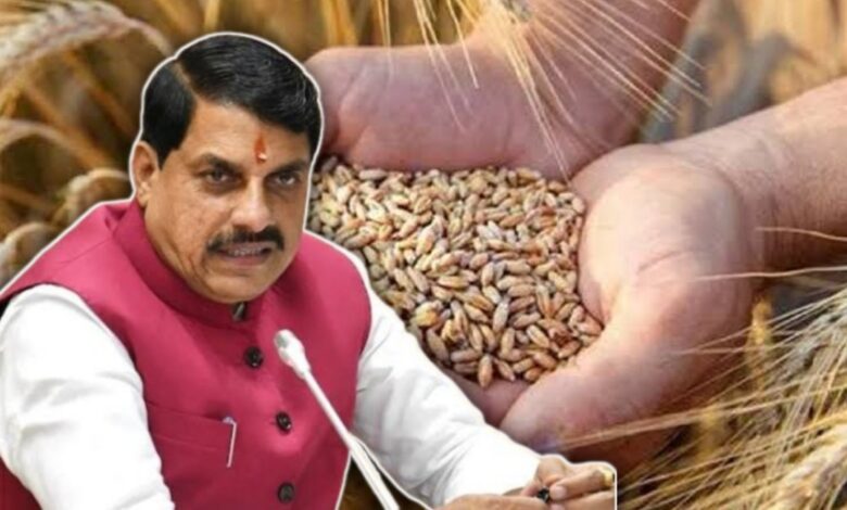 मध्यप्रदेश सरकार का बड़ा फैसला: गेहूं पंजीयन की तारीख बढ़ी, किसानों को मिलेगा ज्यादा लाभ! मध्यप्रदेश सरकार का बड़ा फैसला: गेहूं पंजीयन की तारीख बढ़ी, किसानों को मिलेगा ज्यादा लाभ!