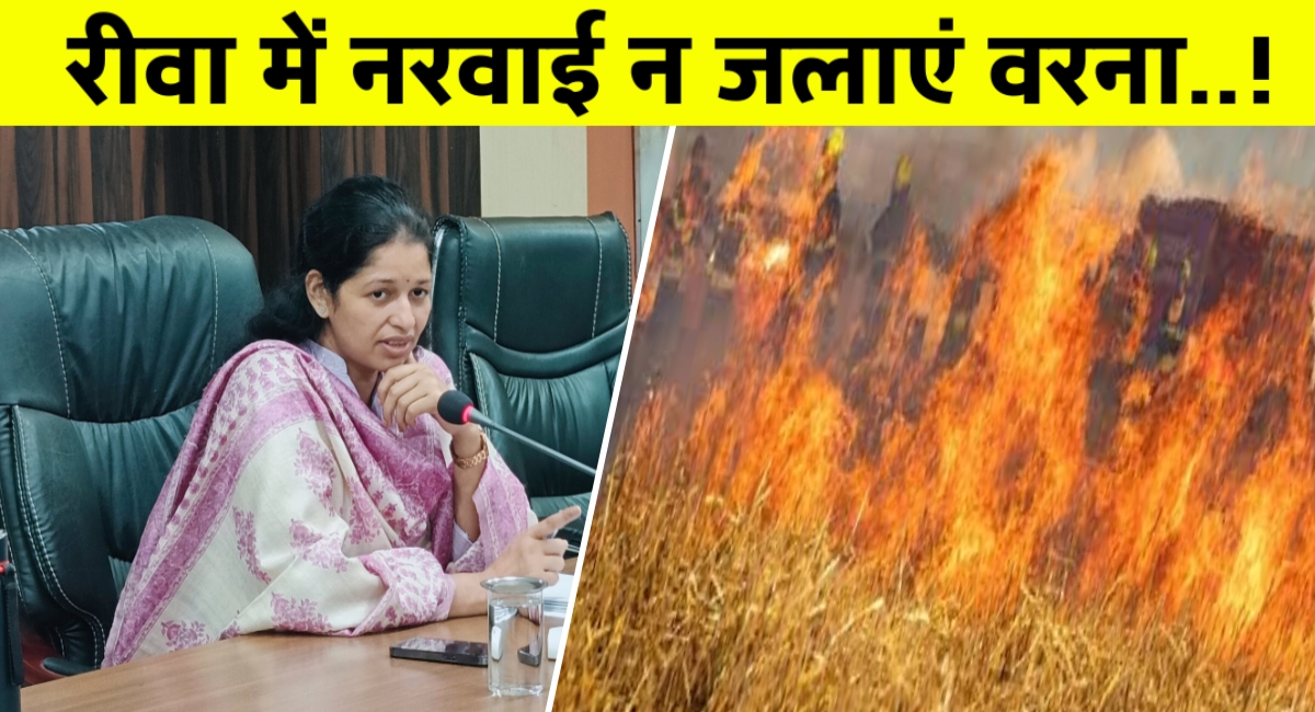 अब खेतों में नहीं उठेगा धुआं: रीवा में नरवाई जलाने पर लगेगा कानून का डंडा