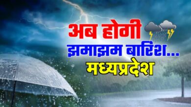 मध्य प्रदेश में तेज गर्मी और लू का कहर, 11 जिलों में अलर्ट, जल्द बदलेगा मौसम