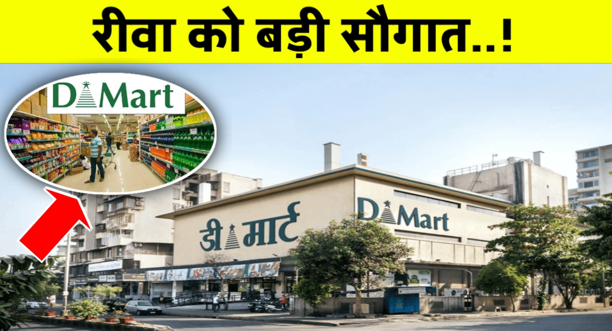 रीवा को मिली बड़ी सौगात: डीमार्ट स्टोर का भव्य शुभारंभ, अब एक ही छत के नीचे सस्ती और शानदार खरीदारी!