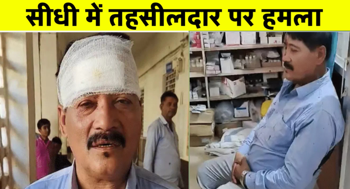 सरकारी ज़मीन पर चला प्रशासन का डंडा, बौखलाए दबंगों ने नायब तहसीलदार को दौड़ा-दौड़ाकर पीटा