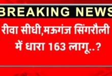रीवा, सीधी, मऊगंज व सिंगरौली में धारा 163 लागू, ड्रोन उड़ाने पर रोक