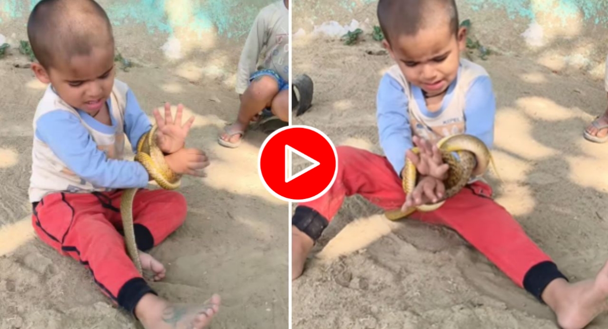 सांप के शिकंजे में फंसा मासूम! वायरल वीडियो ने लोगों को कर दिया हैरान