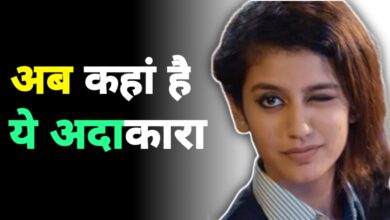 विंक से स्टार बनीं प्रिया प्रकाश वारियर: इंटरनेट सेंसेशन से साउथ इंडस्ट्री की स्टार तक का सफर