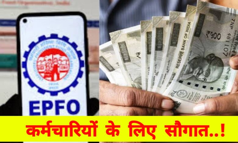 EPFO की सौगात: पीएफ पर 8.25% ब्याज दर बरकरार, जानें बैलेंस जांचने के आसान तरीके EPFO की सौगात: पीएफ पर 8.25% ब्याज दर बरकरार, जानें बैलेंस जांचने के आसान तरीके