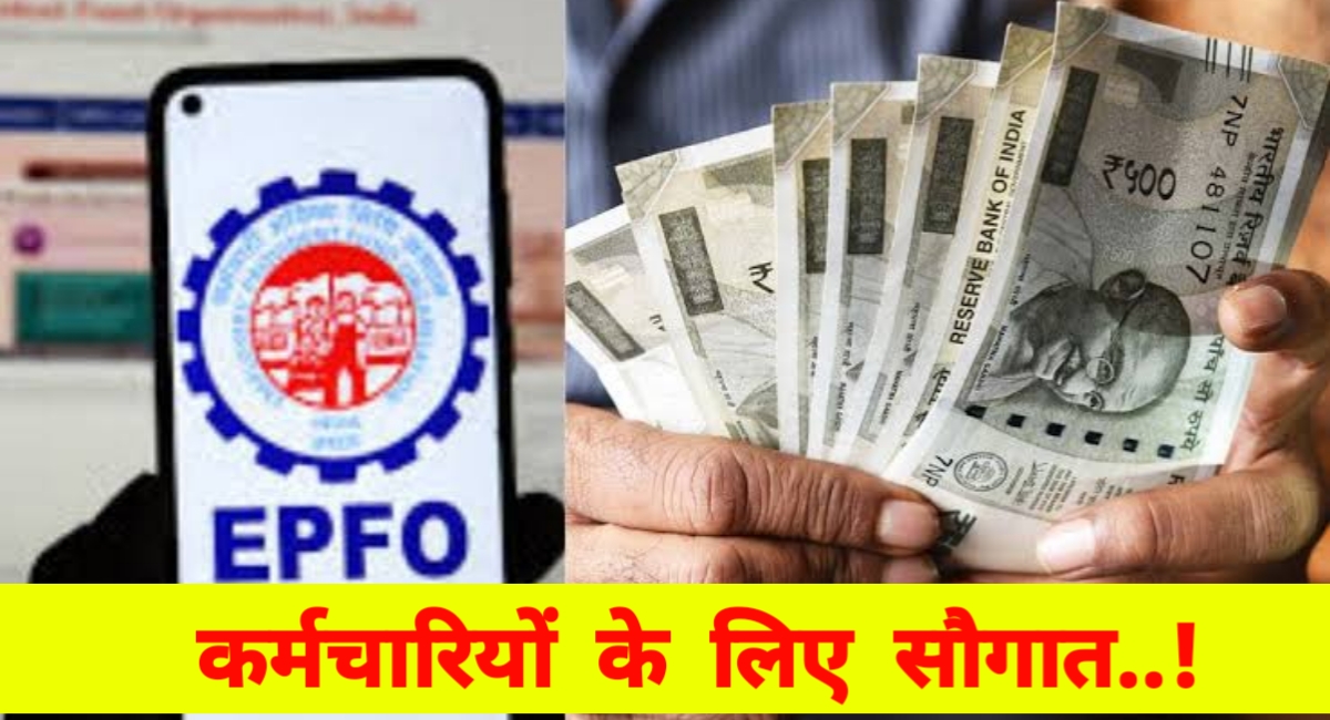EPFO की सौगात: पीएफ पर 8.25% ब्याज दर बरकरार, जानें बैलेंस जांचने के आसान तरीके