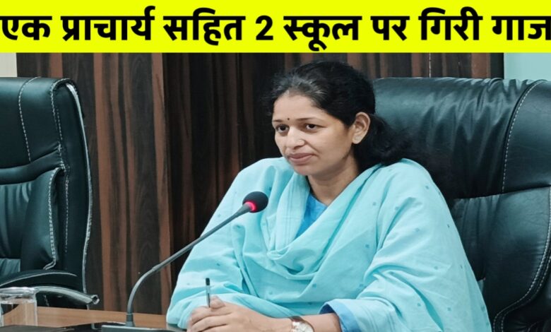 पढ़ाई नहीं, प्याज की बोरियां! रीवा के स्कूल में शिक्षा की जगह भंडारण, प्रधानाध्यापक सस्पेंड पढ़ाई नहीं, प्याज की बोरियां! रीवा के स्कूल में शिक्षा की जगह भंडारण, प्रधानाध्यापक सस्पेंड