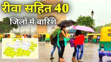 रीवा सहित इन 40 जिलों में मौसम विभाग ने जारी किया बारिश अलर्ट.!