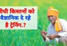 वैज्ञानिक खेती की ओर कदम: सीधी के किसान अब उगाएंगे खरीफ की बंपर फसल!
