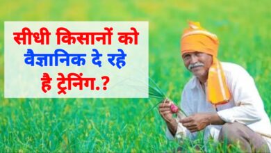 वैज्ञानिक खेती की ओर कदम: सीधी के किसान अब उगाएंगे खरीफ की बंपर फसल!