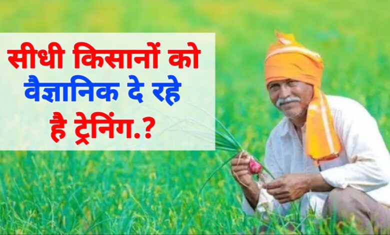 वैज्ञानिक खेती की ओर कदम: सीधी के किसान अब उगाएंगे खरीफ की बंपर फसल! वैज्ञानिक खेती की ओर कदम: सीधी के किसान अब उगाएंगे खरीफ की बंपर फसल!