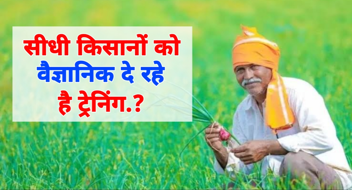 वैज्ञानिक खेती की ओर कदम: सीधी के किसान अब उगाएंगे खरीफ की बंपर फसल!
