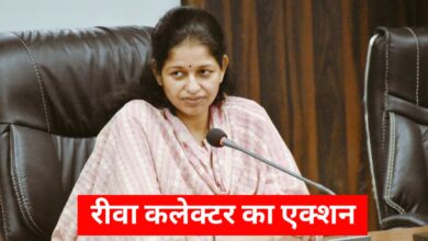 शिक्षा विभाग में फर्जी नियुक्ति का भंडाफोड़, क्लर्क सस्पेंड - अफसरों पर गिरी गाज!