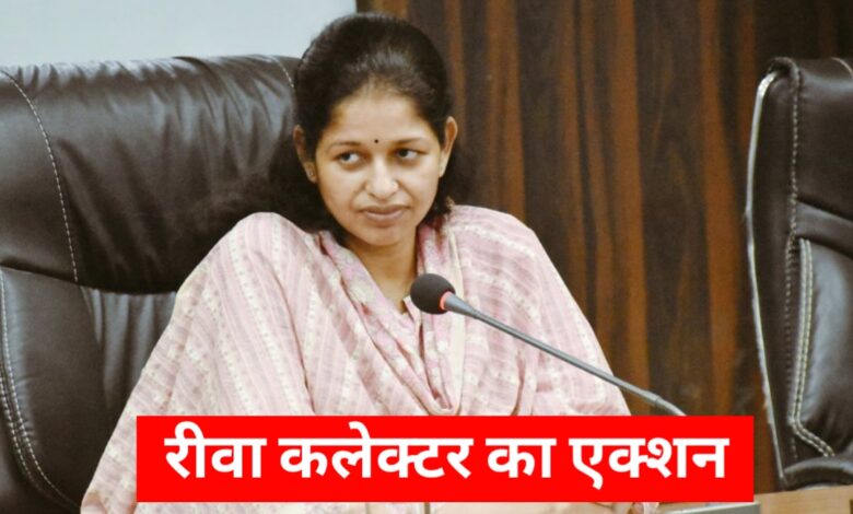 शिक्षा विभाग में फर्जी नियुक्ति का भंडाफोड़, क्लर्क सस्पेंड - अफसरों पर गिरी गाज! शिक्षा विभाग में फर्जी नियुक्ति का भंडाफोड़, क्लर्क सस्पेंड - अफसरों पर गिरी गाज!