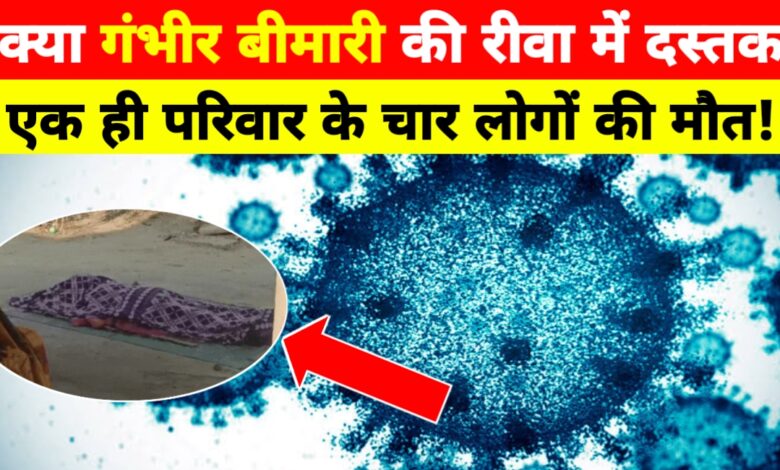 रीवा में कहर: उल्टी-दस्त से एक ही परिवार के चार लोगों की मौत, इलाके में दहशत रीवा में कहर: उल्टी-दस्त से एक ही परिवार के चार लोगों की मौत, इलाके में दहशत