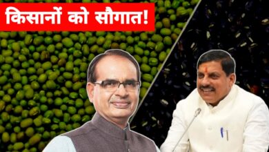 मध्यप्रदेश के किसानों को बड़ी राहत: मूंग-उड़द की समर्थन मूल्य पर खरीदी का ऐलान, 19 जून से होगा पंजीयन
