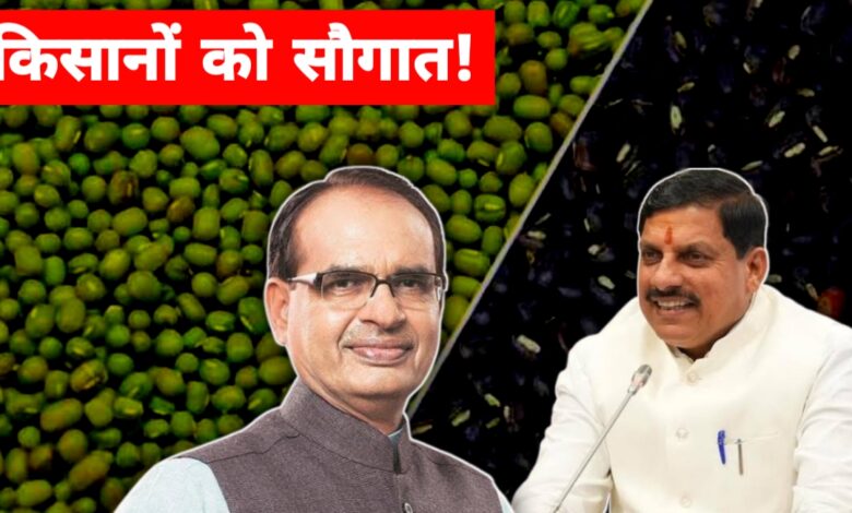मध्यप्रदेश के किसानों को बड़ी राहत: मूंग-उड़द की समर्थन मूल्य पर खरीदी का ऐलान, 19 जून से होगा पंजीयन मध्यप्रदेश के किसानों को बड़ी राहत: मूंग-उड़द की समर्थन मूल्य पर खरीदी का ऐलान, 19 जून से होगा पंजीयन