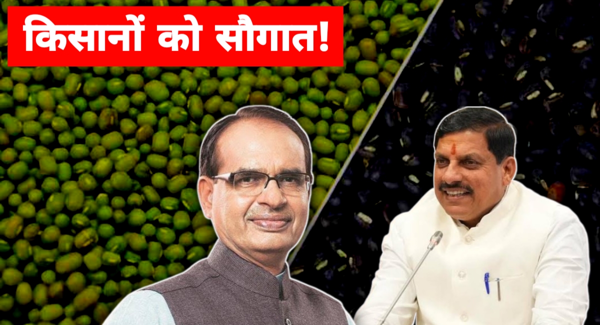 मध्यप्रदेश के किसानों को बड़ी राहत: मूंग-उड़द की समर्थन मूल्य पर खरीदी का ऐलान, 19 जून से होगा पंजीयन