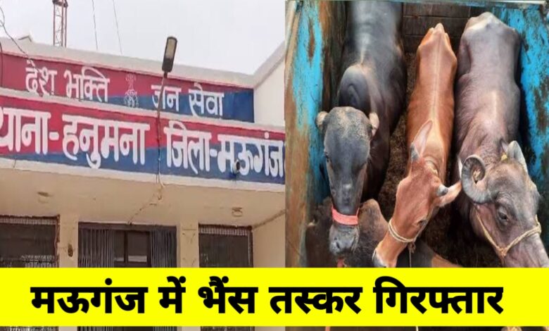 21 मवेशियों की तस्करी का पर्दाफाश, दो सगे भाई ट्रक सहित गिरफ्तार – हनुमना पुलिस की बड़ी कार्रवाई