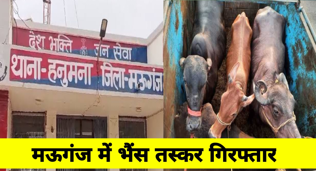 21 मवेशियों की तस्करी का पर्दाफाश, दो सगे भाई ट्रक सहित गिरफ्तार – हनुमना पुलिस की बड़ी कार्रवाई