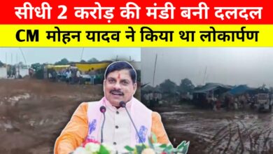 सीधी की नई सब्जी मंडी में कीचड़ का साम्राज्य, करोड़ों खर्च और मुख्यमंत्री के लोकार्पण के बाद भी बदहाल हालात