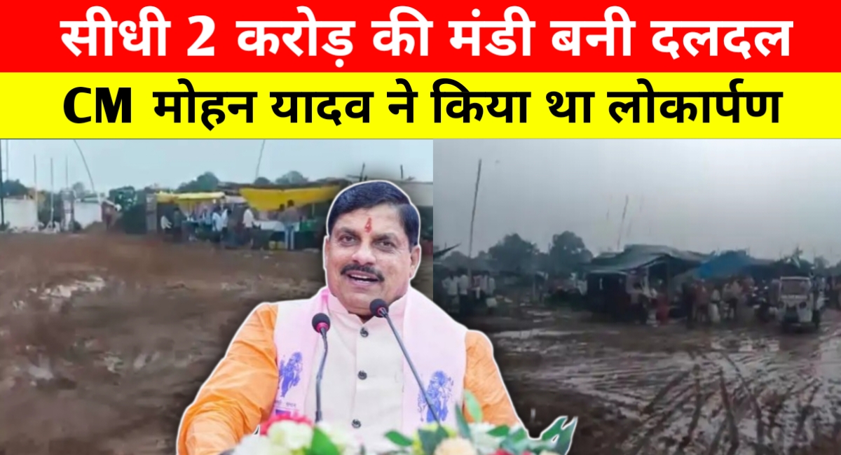 सीधी की नई सब्जी मंडी में कीचड़ का साम्राज्य, करोड़ों खर्च और मुख्यमंत्री के लोकार्पण के बाद भी बदहाल हालात