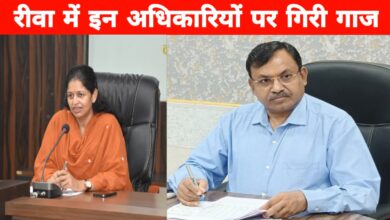 रीवा में फर्जी दस्तावेजों से दी गई नौकरियां! दो अफसर सस्पेंड, छह नियुक्तियां रद्द