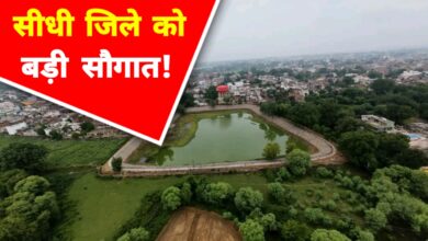 सीधी का अमहा तालाब बना आकर्षण का केंद्र: लोगों को मिला सुकून भरा ठिकाना