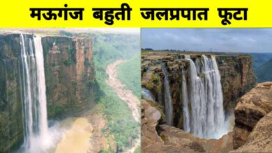 मध्यप्रदेश में भीषण बारिश का कहर: 30 जिलों में ऑरेंज अलर्ट, बहुती जलप्रपात पर उमड़े सैलानी