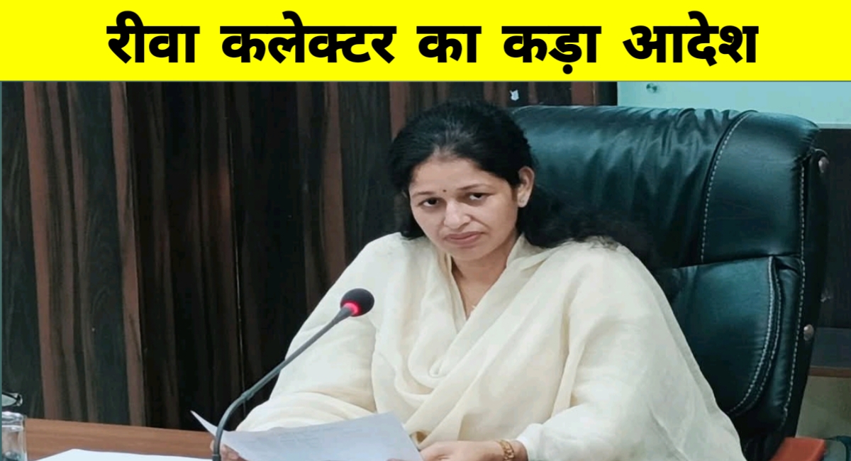 सड़कों पर छोड़े गए पशु बनेंगे मुसीबत, अब मालिकों पर लगेगा जुर्माना और होगी एफआईआर!