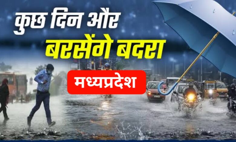 मध्यप्रदेश में झमाझम बारिश से बढ़ा खतरा: 20 जिलों में बाढ़ जैसे हालात, अगले दो दिन भारी बारिश का अलर्ट