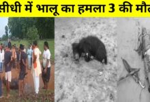 सीधी में भालू का खूनी कहर: तीन ग्रामीणों की मौत, गांव में दहशत