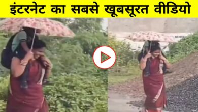मां की ममता का अनमोल दृश्य: वायरल वीडियो ने सबकी आंखें नम कर दीं