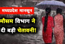 मध्यप्रदेश में मॉनसून का प्रचंड रूप: कई जिलों में भारी बारिश का रेड अलर्ट, नदी-नाले उफान पर!