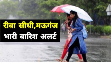 मध्यप्रदेश में मानसून का कहर: कई जिलों में भारी बारिश, ऑरेंज और येलो अलर्ट जारी