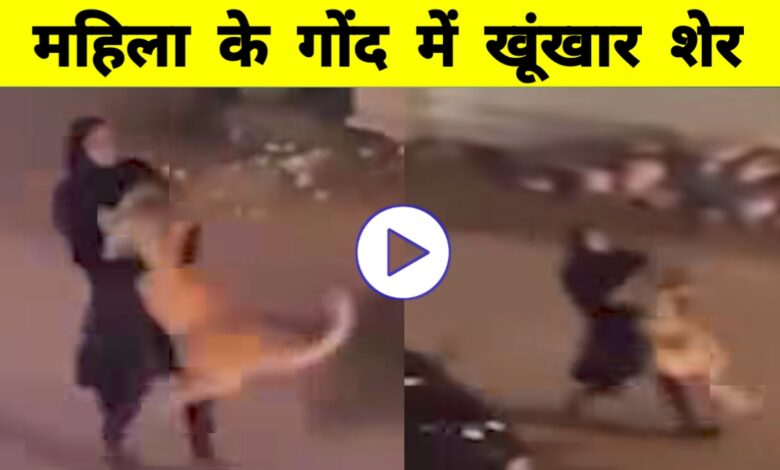 शेर को गोद में उठाए महिला का वीडियो वायरल: इंसान और जंगली जानवर के रिश्ते की नई मिसाल! शेर को गोद में उठाए महिला का वीडियो वायरल: इंसान और जंगली जानवर के रिश्ते की नई मिसाल!