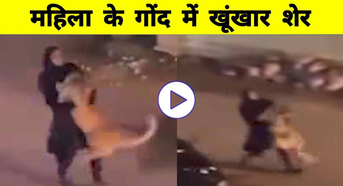 शेर को गोद में उठाए महिला का वीडियो वायरल: इंसान और जंगली जानवर के रिश्ते की नई मिसाल!