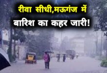 विंध्य में कहर बनी बारिश: रीवा, सीधी और मऊगंज में बाढ़ जैसे हालात, नदियां-नाले उफान पर